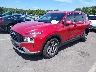 5NMS24AJ8PH****** Usados y Reparables 2023 Hyundai Santa Fe en Raleigh