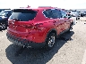 5NMS24AJ8PH****** Salvamento y Destrozados 2023 Hyundai Santa Fe en Estado de Carolina del Norte