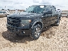 1FTFW1EFXEF****** Usados y Reparables 2014 Ford F-150 en Amarillo