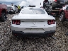 1FA6P8TH7R5****** Usados 2024 Ford Mustang