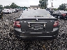 19UUA66218A****** Destrozados 2008 Acura TL