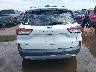 1FMCU0BZ7LU****** Destrozados 2020 Ford Escape