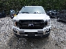 1FTEW1EP9KF****** Wrecked 2019 Ford F-150 in South Carolina State