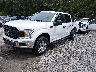 1FTEW1EP9KF****** Used and Repairable 2019 Ford F-150 in Charleston