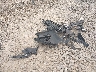 5NPD74LF5JH****** Wrecked 2018 Hyundai Elantra in Pennsylvania State