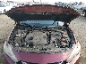 1N4AA6AP3GC****** Reparables 2016 Nissan Maxima en Little Rock