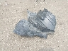 5J8TC2H52KL****** Wrecked 2019 Acura RDX in New Jersey State