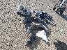 KNDEU2AA7S7****** Wrecked 2025 Kia Seltos in New Mexico State