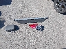 JF2GTHSC0PH****** Destrozados 2023 Subaru Crosstrek en Estado de Illinois