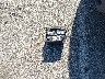 5J8TB1H51AA****** Wrecked 2010 Acura RDX in Nebraska State
