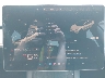 5YJ3E1EB8MF****** Salvage 2021 Tesla Model 3 in Portland