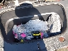 7SAYGDED7TF****** Salvamento y Reparables 2026 Tesla Model Y en Ace Perris