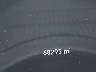 2C3CDZAG9MH****** Wrecked 2021 Dodge Challenger