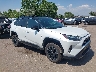 4T3E6RFV2PU****** Salvage 2023 Toyota RAV4 Hybrid