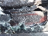 1GC1KVEG4HF****** Wrecked 2017 Chevrolet Silverado 2500 in New York State