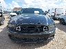 1ZVBP8AM1E5****** Destrozados 2014 Ford Mustang en Estado de Texas