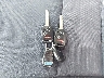 5J6RE4H32BL****** Salvamento 2011 Honda CR-V en Estado de Illinois