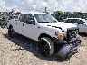 1FTEX1EM9EF****** Salvage and Wrecked 2014 Ford F-150 in Wichita