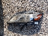 2G1155S30E9****** Wrecked 2014 Chevrolet Impala in Indiana State