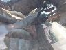 1G1YY26U975****** Used and Repairable 2007 Chevrolet Corvette in Texas State