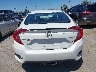 19XFC2F88LE****** Destrozados 2020 Honda Civic
