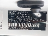 JTJSARDZ2M2****** Usados 2021 Lexus NX 300 en Taunton
