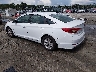 5NPE24AF1FH****** Salvamento y Reparables 2015 Hyundai Sonata en Savannah