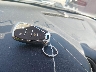 1G1ZD5ST9NF****** Salvage 2022 Chevrolet Malibu in West Virginia State