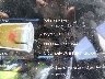 5YJ3E1EAXLF****** Salvage 2020 Tesla Model 3