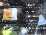 5YJ3E1EAXLF****** Salvage 2020 Tesla Model 3 in Electric Vehicle Auctions