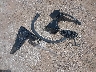 5FNYF6H29NB****** Wrecked 2022 Honda Pilot in Texas State