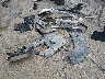 3TMCZ5AN9HM****** Wrecked 2017 Toyota Tacoma in Kansas State