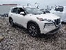 JN8BT3BA1PW****** Salvamento y Destrozados 2023 Nissan Rogue en Lafayette