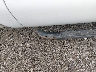 1FT7W2B67CE****** Repairable 2012 Ford F-250