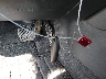 1N4BL4BV1PN****** Salvage 2023 Nissan Altima in New Jersey State