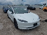 5YJ3E1EA6SF****** Salvage and Wrecked 2025 Tesla Model 3 in Dallas