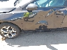 3KPF24AD4ME****** Salvage and Repairable 2021 Kia Forte in Massachusetts State