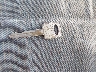 1FTEF14Y4TL****** Salvage 1996 Ford F-150 in Kentucky State