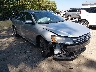 1VWAS7A33FC****** Salvamento y Destrozados 2015 Volkswagen Passat en Indianapolis
