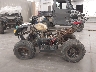 RF3FA09C76T****** Repairable 2006 Polaris Sportsman in Minnesota State