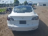 5YJ3E1EB8MF****** Salvamento 2021 Tesla Model 3