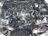 3TMKB5FN8SM****** Repairable 2025 Toyota Tacoma in Lexington