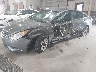 5NPEB4AC7DH****** Salvamento y Reparables 2013 Hyundai Sonata en Estado de Carolina del Norte