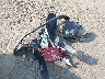 JHLRE4H73BC****** Wrecked 2011 Honda CR-V in Virginia State