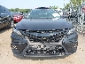 4T1G11AK0RU****** Usados 2024 Toyota Camry