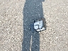 KL4AMBS21RB****** Wrecked 2024 Buick Encore in Oregon State