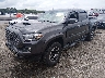 5TFAZ5CN9MX****** Usados y Reparables 2021 Toyota Tacoma en Lexington
