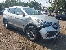 5XYZTDLB0HG****** Salvage and Wrecked 2017 Hyundai Santa Fe in Avenel New Jersey
