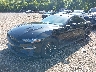 1FA6P8TH1L5****** Usados y Reparables 2020 Ford Mustang en Nashville