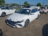 KMHLM4DGXRU****** Used and Repairable 2024 Hyundai Elantra in Culpeper